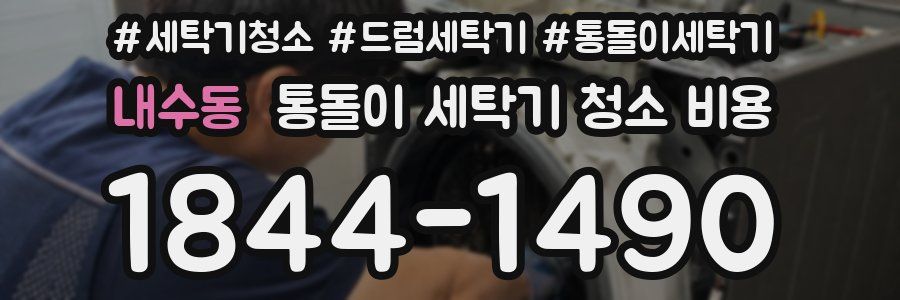내수동 통돌이 세탁기 청소 비용