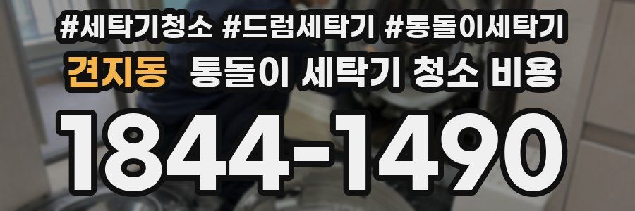 견지동 통돌이 세탁기 청소 비용
