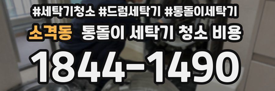 소격동 통돌이 세탁기 청소 비용