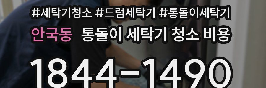 안국동 통돌이 세탁기 청소 비용