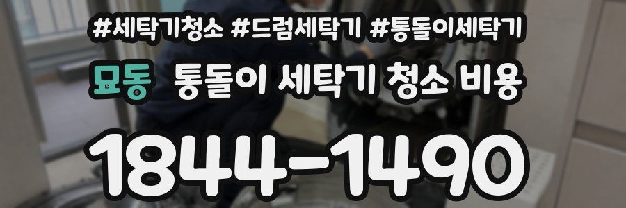묘동 통돌이 세탁기 청소 비용