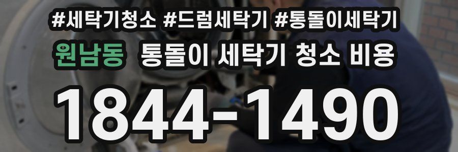 원남동 통돌이 세탁기 청소 비용