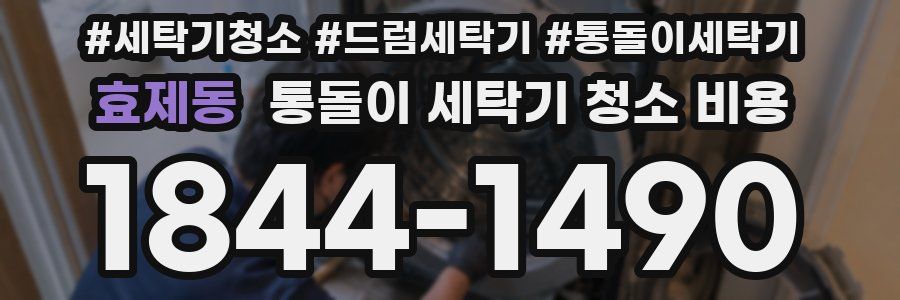 효제동 통돌이 세탁기 청소 비용