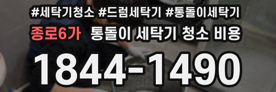 종로6가 통돌이 세탁기 청소 비용