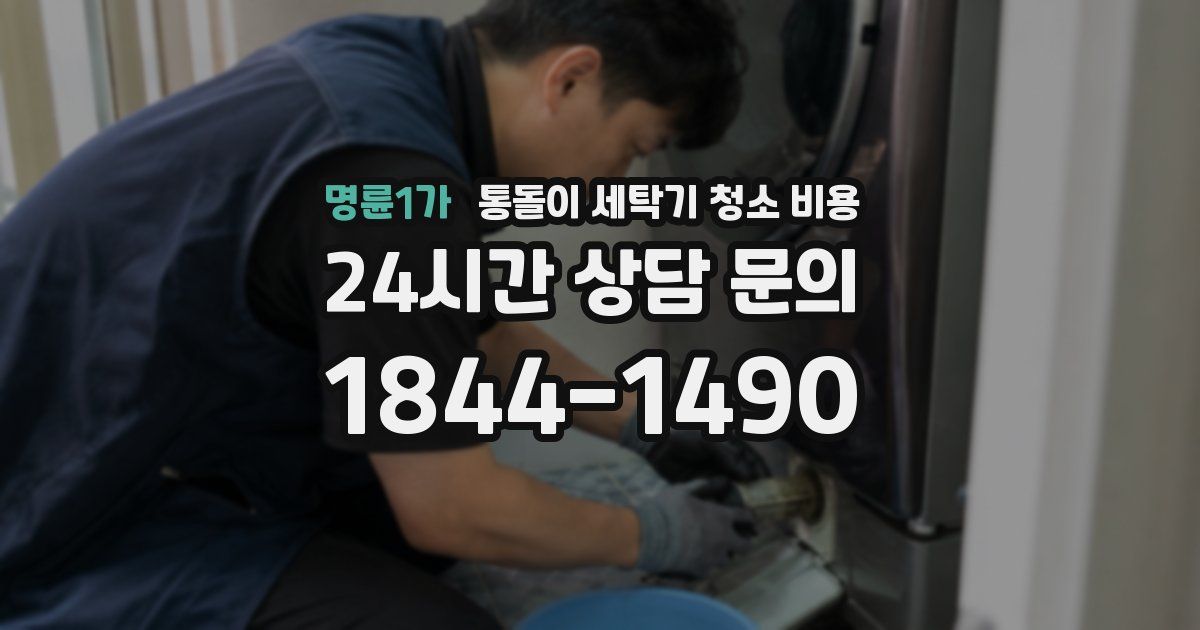 명륜1가 통돌이 세탁기 청소 비용