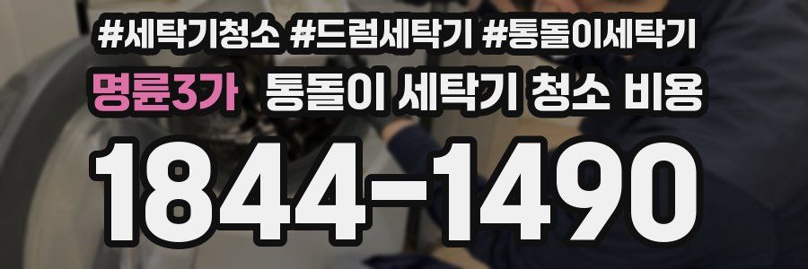 명륜3가 통돌이 세탁기 청소 비용