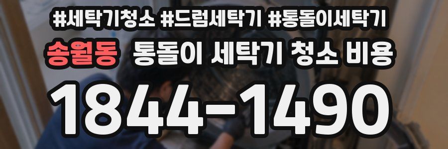 송월동 통돌이 세탁기 청소 비용