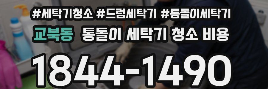 교북동 통돌이 세탁기 청소 비용