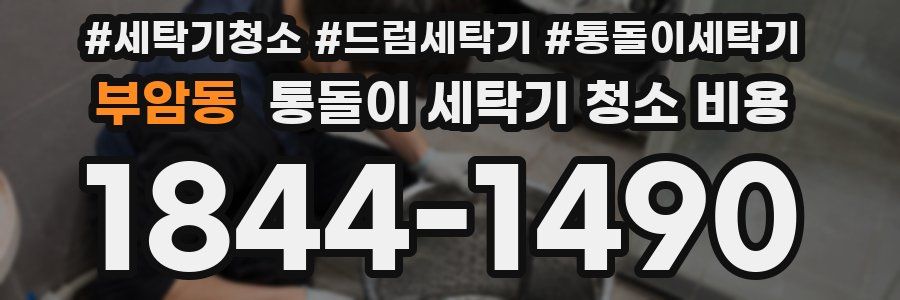 부암동 통돌이 세탁기 청소 비용