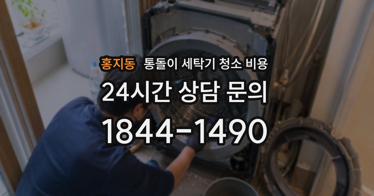 홍지동 통돌이 세탁기 청소 비용