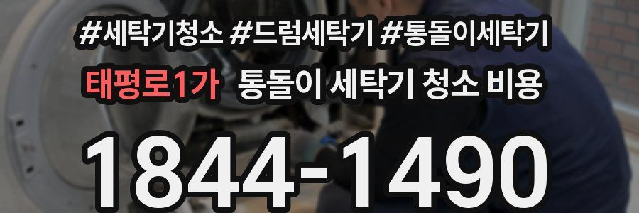 태평로1가 통돌이 세탁기 청소 비용