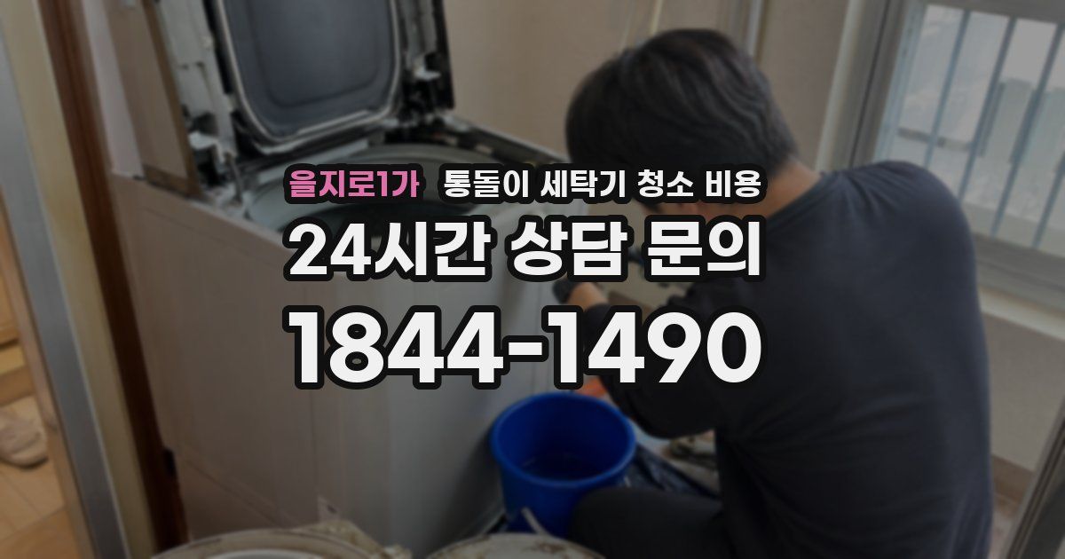 을지로1가 통돌이 세탁기 청소 비용