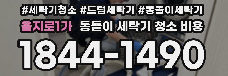 을지로1가 통돌이 세탁기 청소 비용