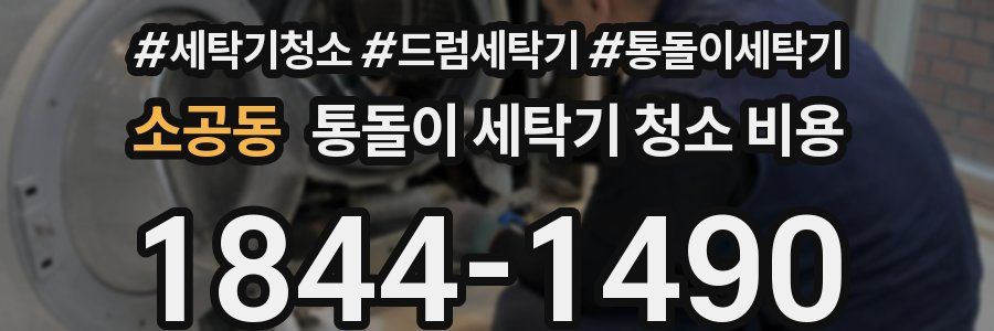소공동 통돌이 세탁기 청소 비용