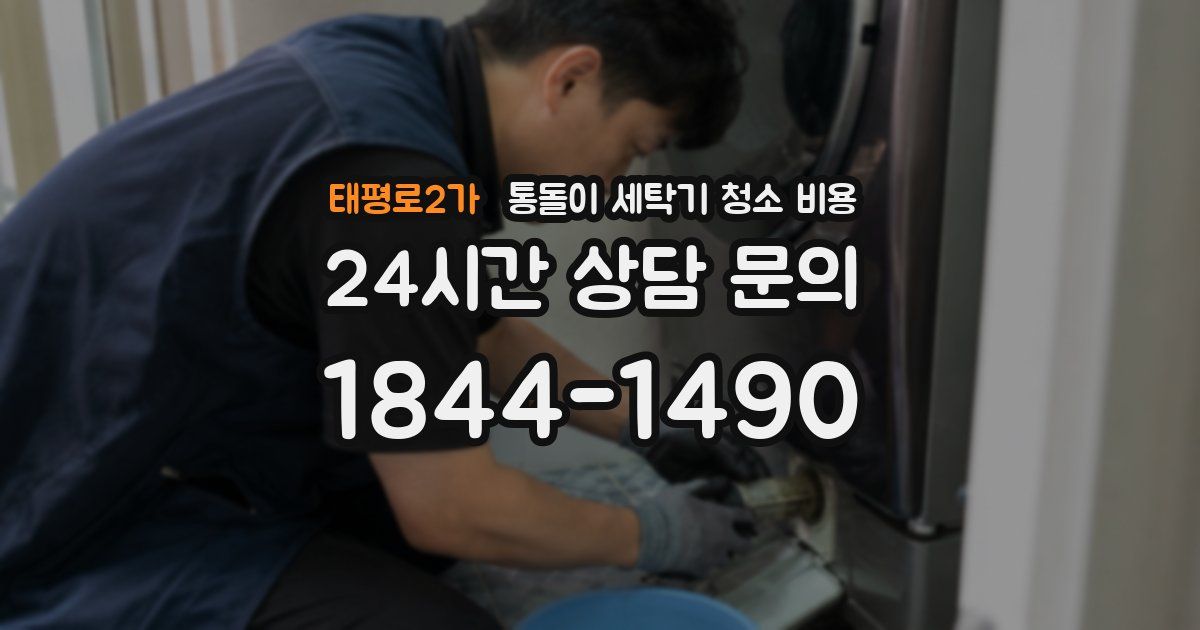 태평로2가 통돌이 세탁기 청소 비용