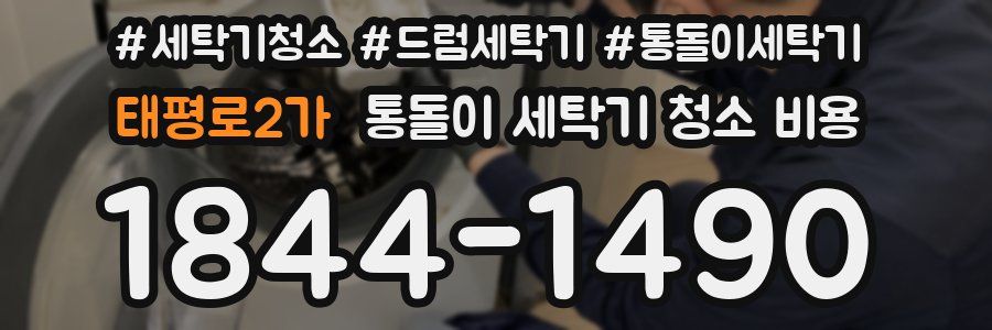 태평로2가 통돌이 세탁기 청소 비용