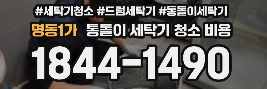 명동1가 통돌이 세탁기 청소 비용