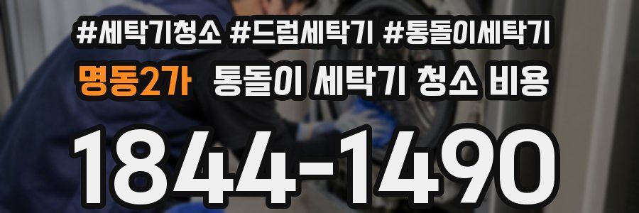 명동2가 통돌이 세탁기 청소 비용