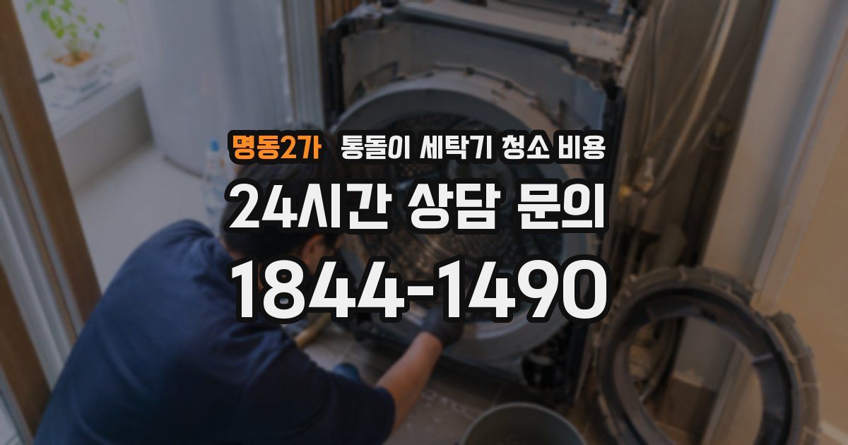명동2가 통돌이 세탁기 청소 비용