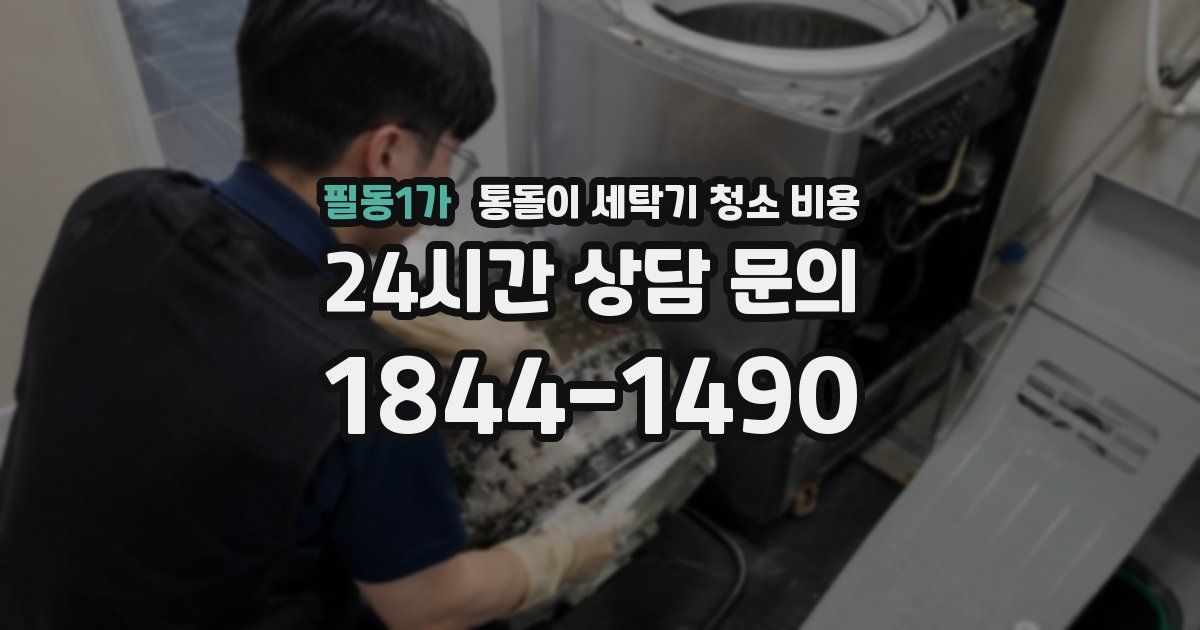 필동1가 통돌이 세탁기 청소 비용