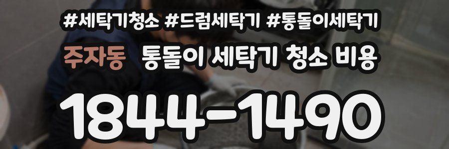 주자동 통돌이 세탁기 청소 비용