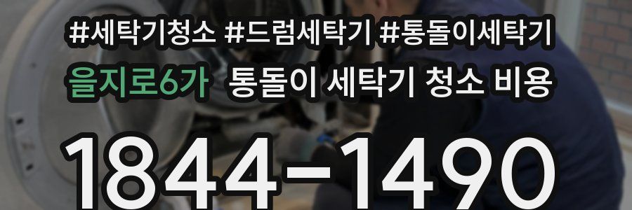을지로6가 통돌이 세탁기 청소 비용