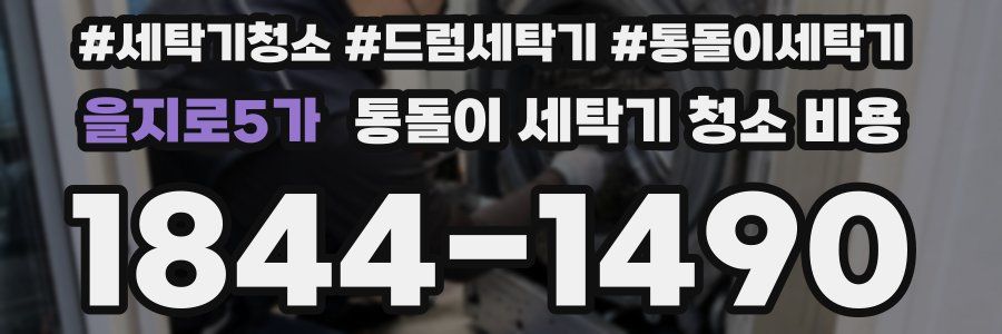 을지로5가 통돌이 세탁기 청소 비용