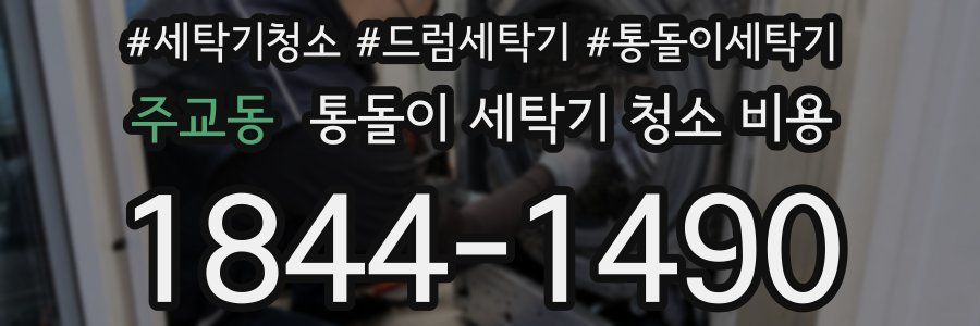 주교동 통돌이 세탁기 청소 비용