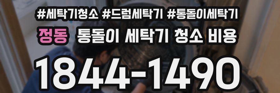 정동 통돌이 세탁기 청소 비용