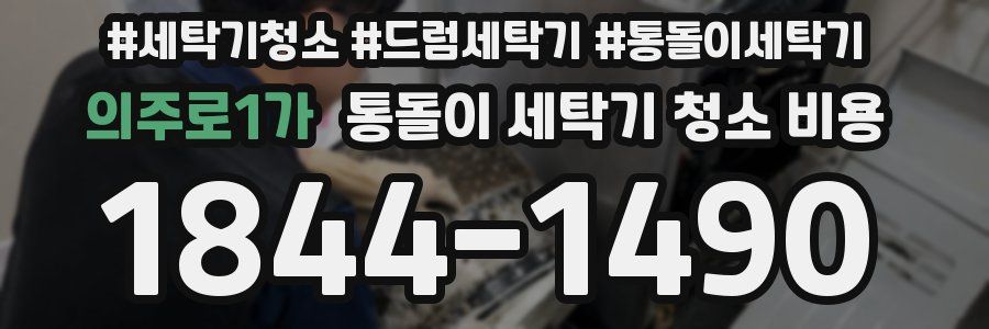 의주로1가 통돌이 세탁기 청소 비용