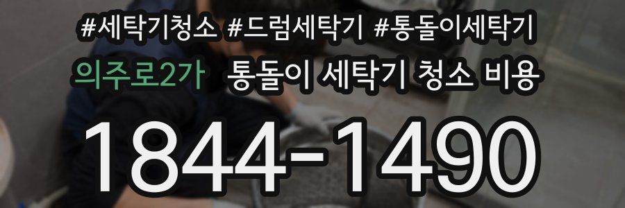 의주로2가 통돌이 세탁기 청소 비용
