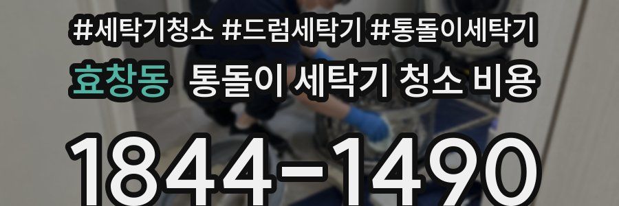 효창동 통돌이 세탁기 청소 비용
