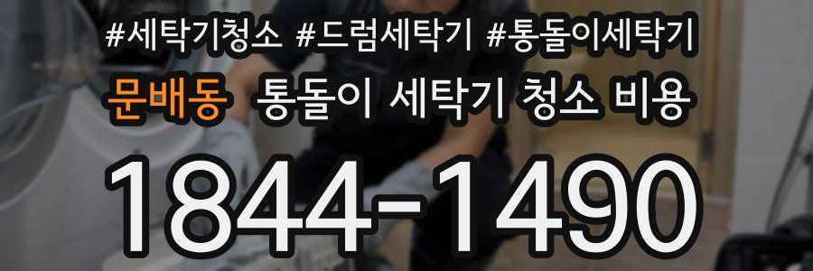 문배동 통돌이 세탁기 청소 비용