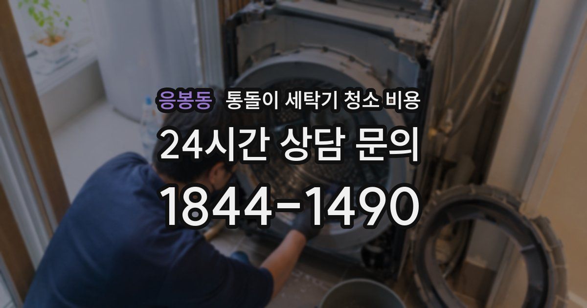 응봉동 통돌이 세탁기 청소 비용