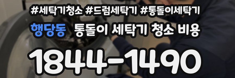 행당동 통돌이 세탁기 청소 비용