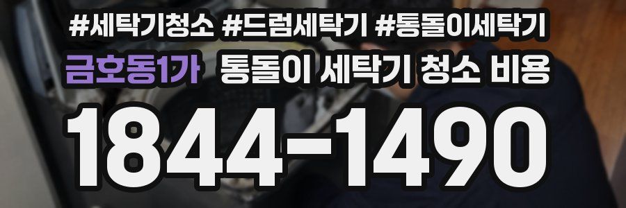 금호동1가 통돌이 세탁기 청소 비용