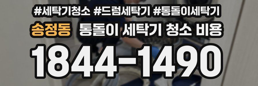 송정동 통돌이 세탁기 청소 비용