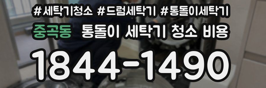 중곡동 통돌이 세탁기 청소 비용