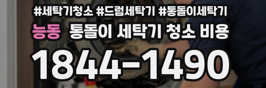 능동 통돌이 세탁기 청소 비용