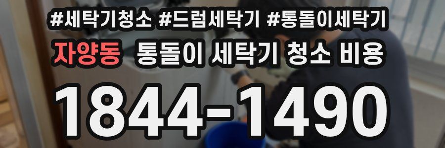자양동 통돌이 세탁기 청소 비용