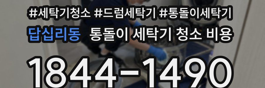 답십리동 통돌이 세탁기 청소 비용