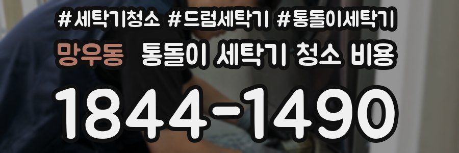 망우동 통돌이 세탁기 청소 비용