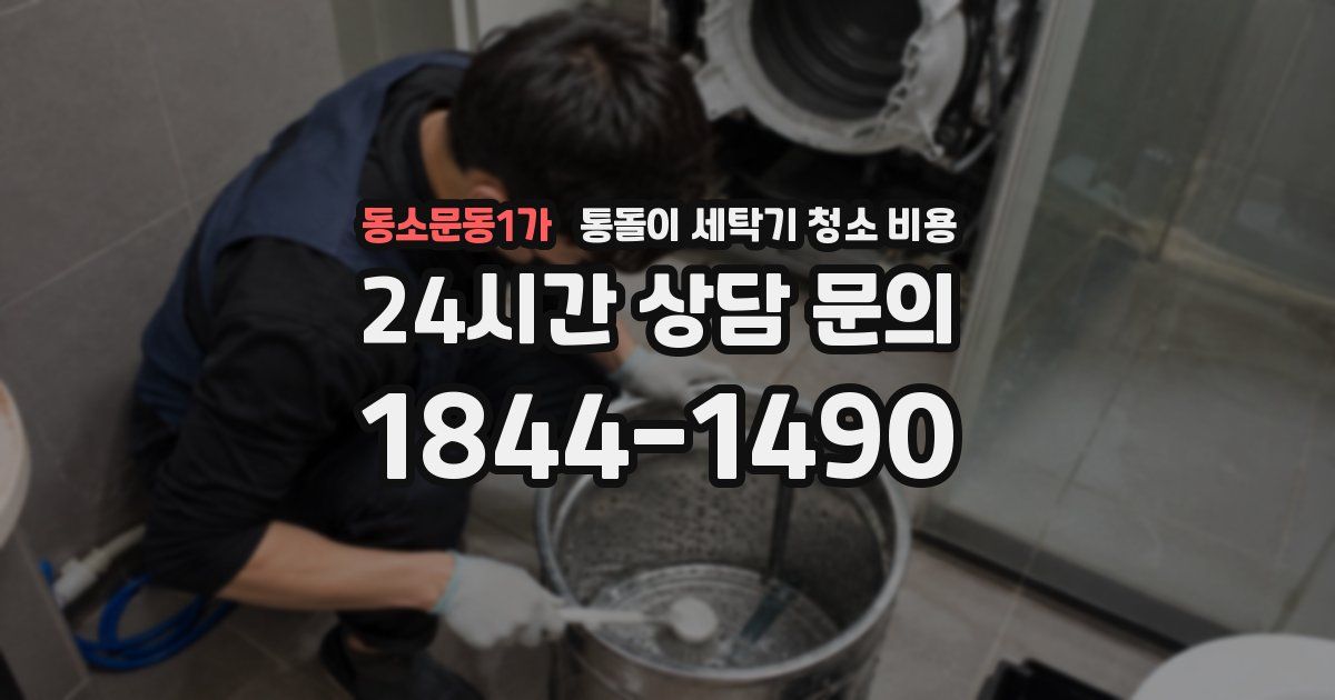 동소문동1가 통돌이 세탁기 청소 비용
