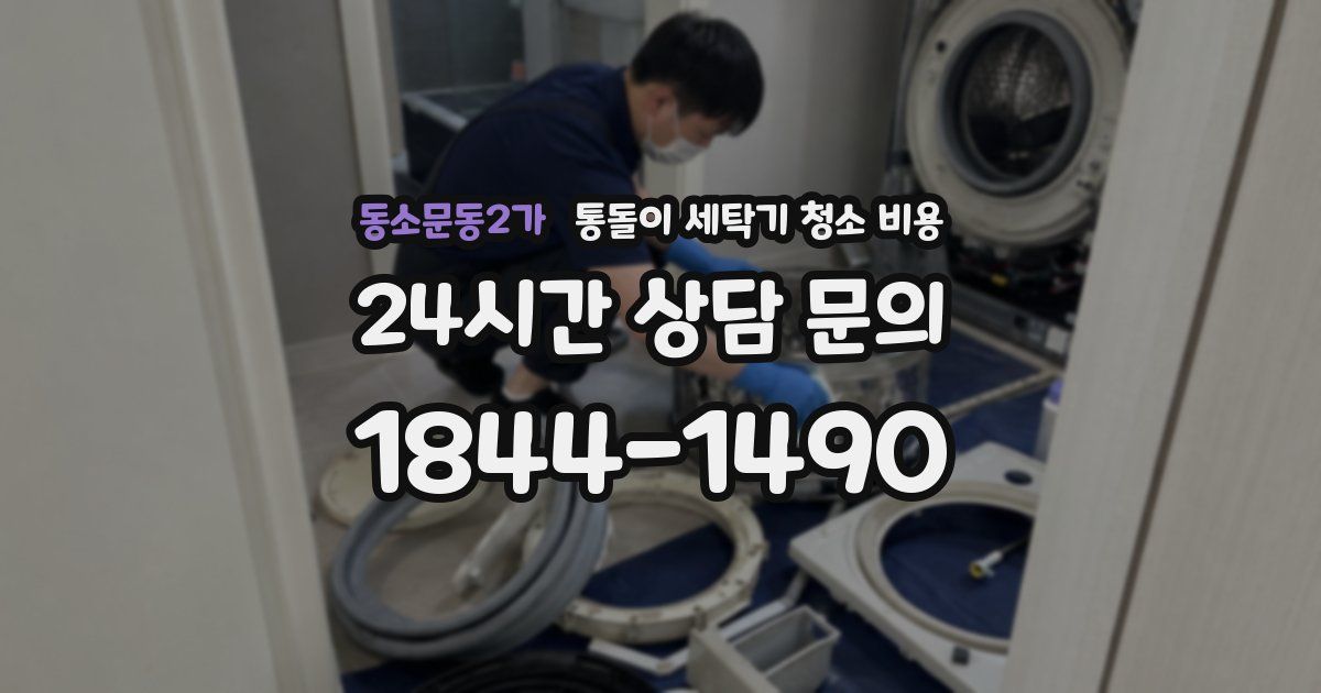동소문동2가 통돌이 세탁기 청소 비용