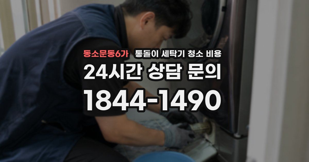 동소문동6가 통돌이 세탁기 청소 비용