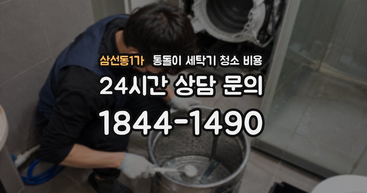 삼선동1가 통돌이 세탁기 청소 비용