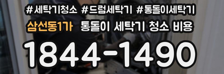 삼선동1가 통돌이 세탁기 청소 비용