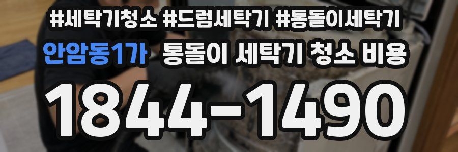 안암동1가 통돌이 세탁기 청소 비용