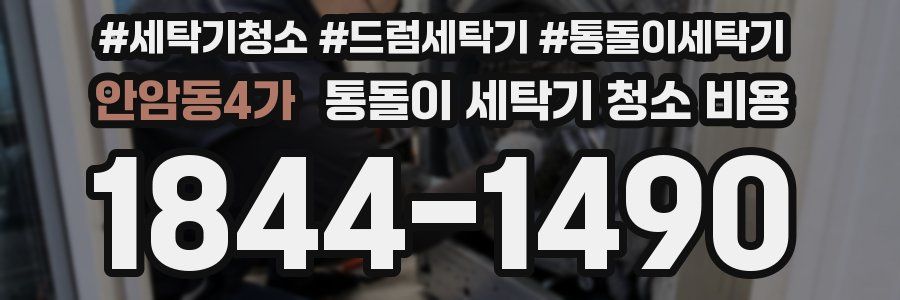 안암동4가 통돌이 세탁기 청소 비용