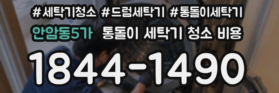 안암동5가 통돌이 세탁기 청소 비용